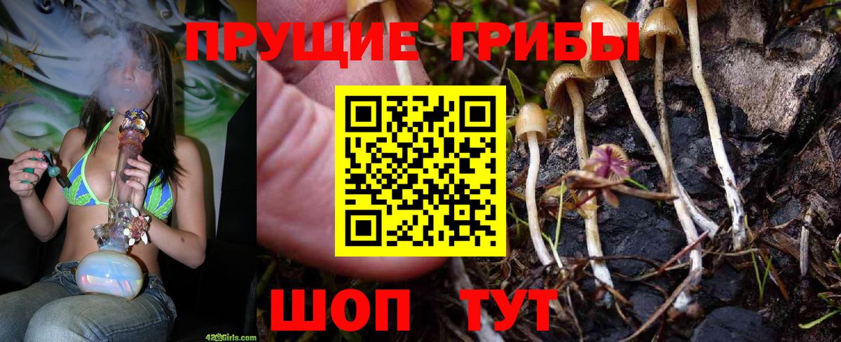 Галлюциногенные грибы прущие грибы Усть-Лабинск