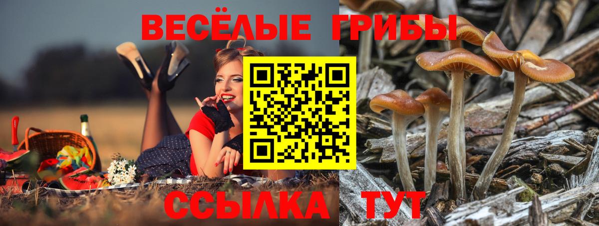 Усть-Лабинск  Псилоцибиновые грибы Cubensis  Галлюциногенные грибы Magic Shrooms  Вход с VPN 